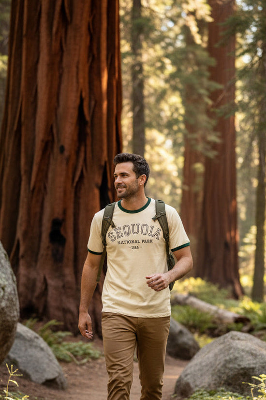 Men's Sequoia National Park Ringer T-Shirt - National Parks